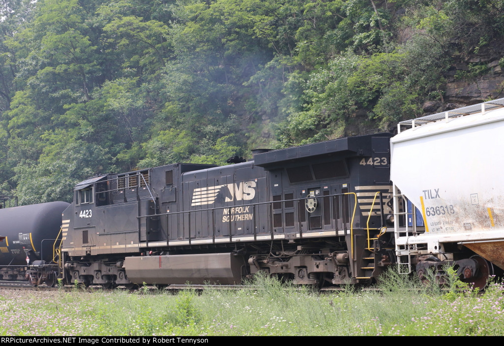 NS 4423